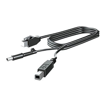 HP 300CM DP+USB PWR CABLE